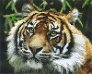 Gaveæske 4 plader 10 x 12 cm. I Tiger
